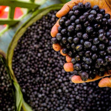 Load image into Gallery viewer, Açaí